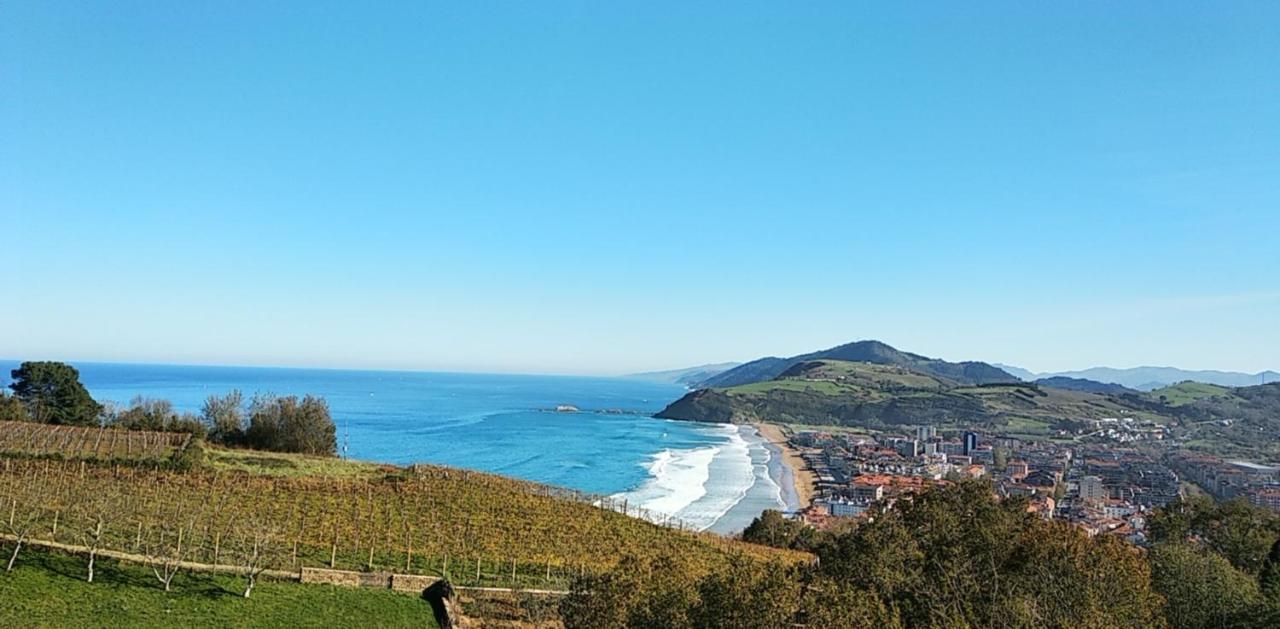 Oferta Especial Ultima Hora - Sarakatua15 - Vistas Espectaculares - Familias Y Parejas - 2 Dormitorios Independientes - Amplio Salon Cocina Comedor - Tarjeta Parking Ota Gratis - Estancia Minima 2 Noches - زاروتز المظهر الخارجي الصورة